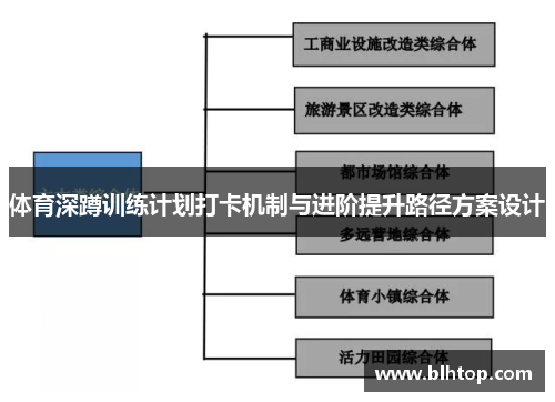 体育深蹲训练计划打卡机制与进阶提升路径方案设计